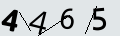 verifycode